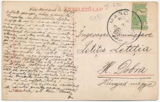 1910 Marosillye, Ilia; Marosparti részlet, komp. Weisz János kiadása / Mures river ferry (Rb)