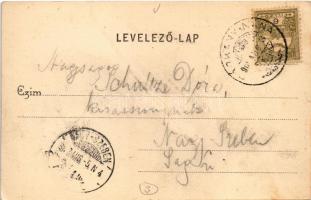 1902 Budapest V. Belvárosi Tiszti Kaszinó, kávéház, Váci utca. Divald Károly 432. sz. (fl)