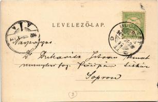 1902 Budapest XI. Kelenföld, Mattoni-féle Erzsébet királyné sósfürdő. Divald Károly kiadása (fl)