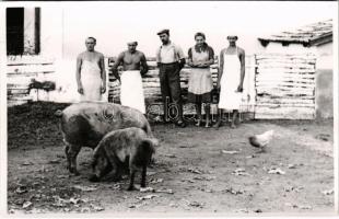 Mezőhegyes, a kerámia üzem háziállatai. Tiszavölgyi József photo