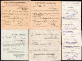 1903 Budapest, a Budapest Székesfővárosi Takarékszövetkezet "16 éves évtársulat" tagsági i...