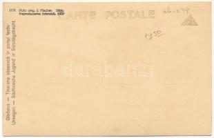 Szászorbó, Urwegen, Garbova Saseasca; Tinerime saseasca in portul festiv / Sächsische Jugend in Sonn...