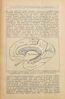 Természettudományi közlöny. Szerk.: Dr. Gorka Sándor. Ötvenötödik kötet. Bp., 1923, Természettudomán...