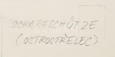 cca 1916 Az osztrák-magyar haditengerészet S.M.S. Scharfschütze Huszár osztályú rombolója fotólap / ...