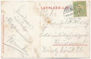 1910 Nagykanizsa, Fő út, Gazdasági Takarékpénztár, Lustig József fia, Petermann, Wollák, Berény Józs...