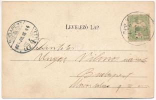 1906 Törökbálint, Fő utca, Eckstein Fülöp üzlete. Eckstein Adolf kiadása (EK)