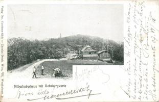 Silberhuberhaus with Habsburgwarte