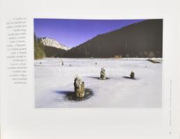 Mészáros László: Erdély természeti kincsei. Bp., 2003, Officina '96 Kiadó. Második kiadás. Kiad...