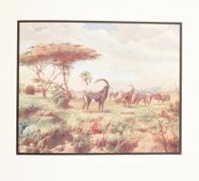 Huszár László: Kwaheri. Viszontlátásra. Afrikai vadásznaplójából írta: - -. Bp.,[1929] , Kir. M. Egy...