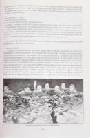 Kő András: Melbourne 1956. Bp., 2006, kiadói kartonált papírkötés