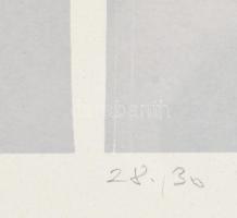 Nádler István (1938-): 2021 (cím nélkül). Szitanyomat, papír, jelzett, számozott (28/30). 60x40 cm. ...