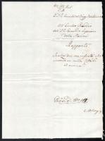 cca 1847 Kézzel írt levélborító olasz nyelven, az S.M.S. Montecuccoli parancsnoka által a haditenger...