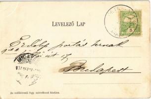 1907 Erdőkövesd, Gróf Károlyi Viktorné és Ivady Albert kastélyai (EK)