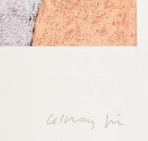 Aknay János (1949-): Angyali üdvözlet. Computer print, merített papír, jelzett, művészpéldány EA II....