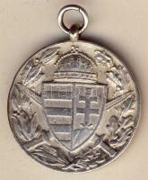 1918. "Pro Deo et Patria-Magyar Háborús Emlékérem" ezüstözött Br kitüntetés T:2/3