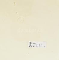 Josef Steidl Znaim virágmintás dísztányér. Jelzett, aukciós címkékkel, kopással, d: 39 cm