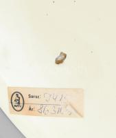 Josef Steidl Znaim virágmintás dísztányér. Jelzett, aukciós címkékkel, kopással, d: 39 cm