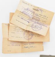 1948-64 ifj. Sebes Gusztáv, Sebes Gusztáv, az Aranycsapat szövetségi kapitánya fiának fényképes kato...