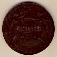 1896. "Ezredéves Országos Kiállítás - Milleniumi Nagy Érem kiváló érdemekért" extrém nagya...