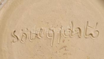 Sövegjártó Mária (1942-): Váza tengeri mintával. Kívül mázatlan kerámia, jelzéssel, hibátlan, m: 17 ...