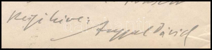 1921 Angyal Dávid (1857-1943) irodalomtörténész, kritikus levele Divéky Adorján (1880-1965) történés...