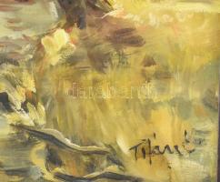 Tifán Enikő (-), erdélyi magyar festő: Nyári erdő. Olaj, farost. Jelzett. Fakeretben. 40x60 cm