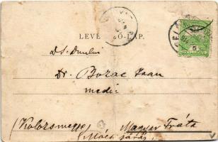 1903 Belényes, Beius; Főgimnázium. Matits Ferenc kiadása / school (fa)