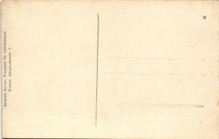 Ungarisches Büffelgespann / bivalyok, erdélyi folklór / Transylvanian folklore, buffalos