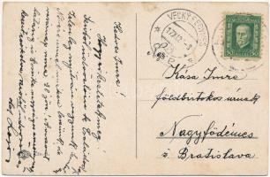 Nyitra, Nitra; Celkovy pohlad / látkép, zsinagóga / general view with synagogue (fl)