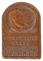 Osztrák-Magyar Monarchia 1914-1915. "MIT VEREINTER KRAFT HEERESGRUPPE MACKENSEN" Mackensen Harccsoport bronz sapkajelvénye "Bildhauer Gurschner Wien VII/2" gyártói jelzéssel (26x19mm) T:XF tű letört / Austro-Hungarian Monarchy 1914-1915. "MIT VEREINTER KRAFT HEERESGRUPPE MACKENSEN" bronze cap badge with maker's mark "Bildhauer Gurschner Wien VII/2" (26x19mm) C:XF broken needle