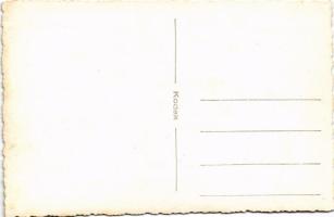 Ismeretlen település, árvíz / unknown town, flood. photo (fl)