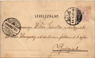 1899 (Vorläufer) Arad, 1849-1899 Október 6. Aradi Vértanúk. Muskát M. kiadása / The 13 Martyrs of Ar...