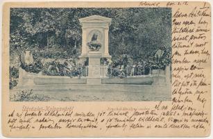 1901 Kolozsvár, Cluj; Erzsébet királyné (Sissi) szobor / Empress Elisabeth of Austria (Sisi) monument (szakadás / tear)
