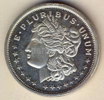 USA DN 1 Troy Ounce Ag 31,1g T:PL