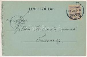 1900 Nagyvárad, Oradea; Körös részlet, zsinagóga. Pauker Dániel kiadása / Cris riverside, synagogue ...