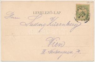 1904 Szamosújvár, Gherla; Népkerti részlet / park (EK)