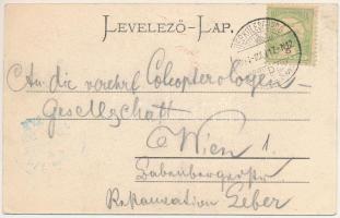 1904 Herkulesfürdő, Baile Herculane; a Coronini magaslatról látva / Herkulesbad von der Coroninihöhe...