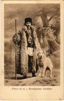 Pastor de oi / Romänischer Schafhirt / Erdélyi folklór, román juhász / Transylvanian folklore, Romanian shepherd. Verlag Emil Fischer Hofphotograph. Druck v. Jos. Drotleff, Hermannstadt (EK)