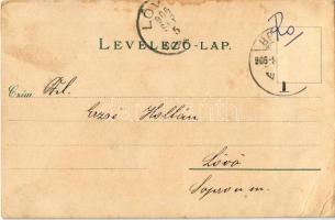 1903 Brassó, Kronstadt, Brasov; Salamon-szikla / Salomonsfelsen / Stanca de Salomon / rock (EB)