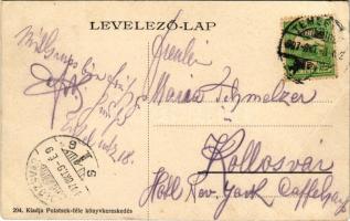 1907 Temesvár, Timisoara; Vágóhíd. Polatsek kiadása / slaughterhouse (fa)