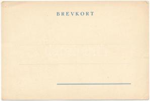 Svéd cserkész / Swedish scout (EK)