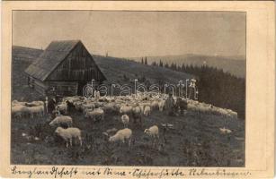 Biharfüred, Stana de Vale, Stina de Vale; Gebirgslandschaft mit Stina (Schäferhütte) Aus Siebenbürgen / erdélyi folklór / Transylvanian folklore (EK)