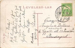 1911 Buziásfürdő, Baile Buzias; Gyógykert. W.L. Bp. 2044. / spa park (EB)