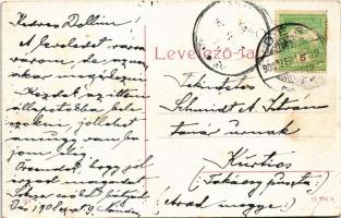 1908 Dés, Dej; város látképe. 374. (W.L. ?) / general view (EB)