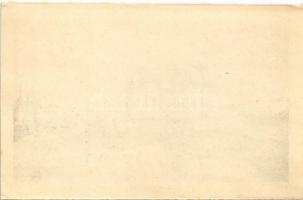 Marosvásárhely, Targu Mures; Uzina electrica / Villanytelep, erőmű / electric power plant (képeslapf...