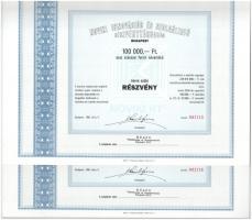 1989. Budapest "Noviki Innovációs és Szolgáltató Részvénytársaság" névre szóló részvénye 100.000Ft-ról (2x) sorszámkövetők, szelvényekkel T:AU