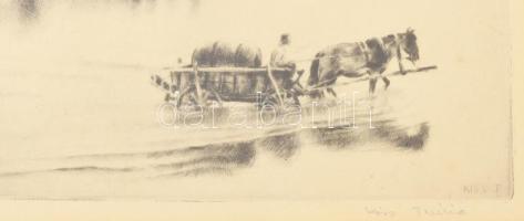 Kiss Terézia (1928-2016): Szekér a vízben. Rézkarc, papír, jelzett, üvegezett fakeretben, 15x22 cm