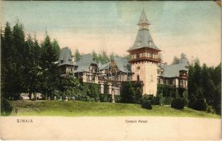 Sinaia, Castelul Peles / castle (fl)