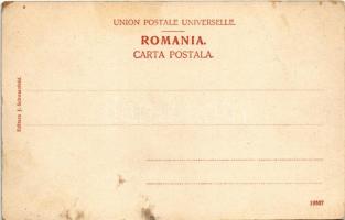 Sinaia, Castelul Peles / castle (fl)