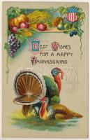 1909 Hálaadás napi dombornyomott üdvözlőlap / Best Wishes for Happy Thanksgiving - embossed litho greeting (fa)